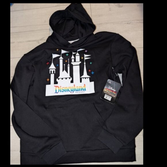 NWT Disney Pride Collection Disneyland Resort Unisex Adult Hoodie Size S - Picture 1 of 4